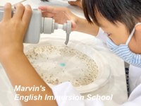 せっけんの力〜手洗いの大切さにつなげる授業〜|沼津市|こども英会話教室 2021/08/08 13:00:00