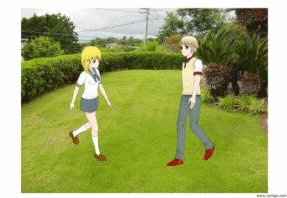 庭の植木の手入れ