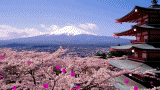 新倉山浅間公園