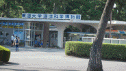 東海大学博物館