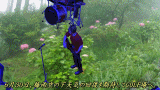 梅雨時の話　２題