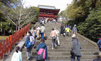田舎暮らし　Part-16　鶴岡八幡宮