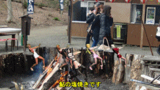 修善寺梅林とスタイリッシュ