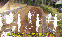 田舎暮らし　Part-12　冬場の庭の手入