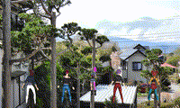 Part-14　隣の大木の伐採と立木の手入
