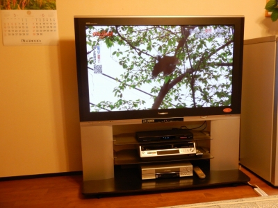 スタンド一体型プラズマテレビから4K有機ELテレビへ｜家電建築富士宮＋薪ストーブ PARTⅡ