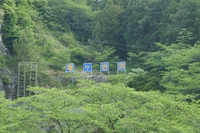 浜松いなさICから10分　東海最大級の鍾乳洞　竜ヶ岩洞