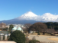 富士山３景