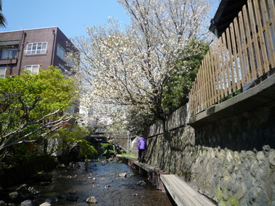 大好きな街三島