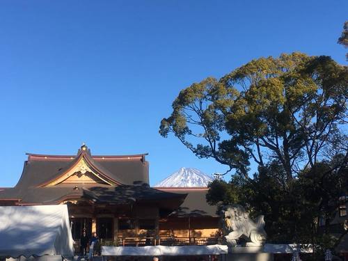 お年玉頂きました！！！