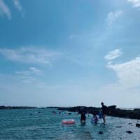 潜ったり釣りしたり、田舎で過ごした夏休み。 2022/08/19 10:59:54