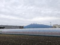 今季初、雪化粧になった富士山が見えた！ 2022/10/25 14:28:59