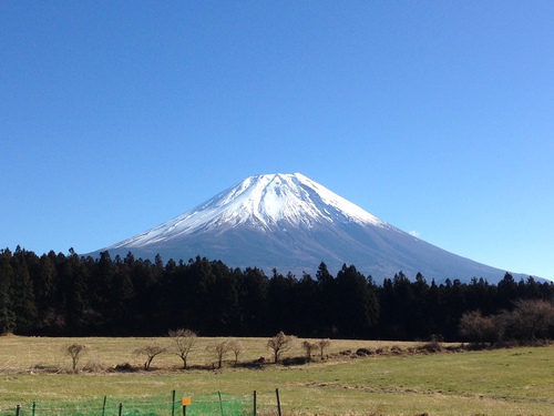 思わず・・・・・