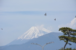 はじめてぬまづ