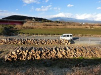 富士川河川敷（富士市）に下見して来ました
