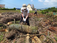 裾野市桜の木薪狩り　完了
