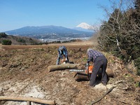 春の陽気の裾野市薪狩りでした