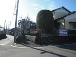 指導と子育てと