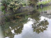 汗びっしょり 2018/08/28 17:13:49