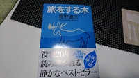 抱いて寝る 2019/05/28 23:47:51