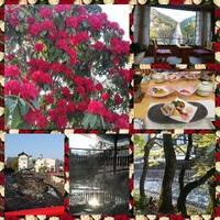 懐かしい友との温泉旅行 2018/04/04 23:18:46