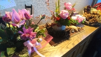 おしっこちょっぴりもれたろう 2019/01/25 07:20:44