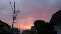 嬉しいな 2020/05/12 19:37:59