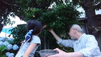 爺ちゃん 2019/06/15 05:25:19