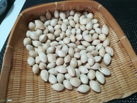 銀杏美味しくて 2018/10/10 07:06:18