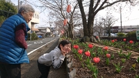 お花見散歩 2019/03/28 07:22:25