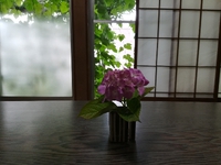 爺ちゃん怒った？ 2018/07/26 10:08:06
