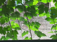 風 2018/09/12 08:32:55