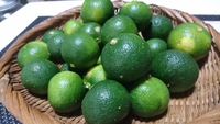 スダチ 2019/08/27 16:46:41