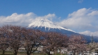 桜ウォーキング 2019/04/03 10:03:32