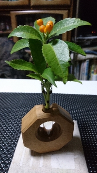 一輪挿し 2019/11/27 16:39:38