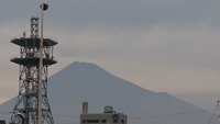 貝の口 2019/07/28 10:40:44