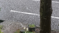 すごいよ雹が虹が 2019/03/08 00:08:16