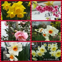 寄り添う気持ち 2018/03/11 10:07:58