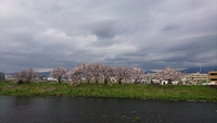 嬉しかった 2020/04/04 08:04:00