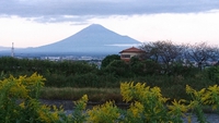 秋の日に 2020/10/10 11:12:00
