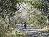 丸火公園散策 2018/04/14 11:53:45