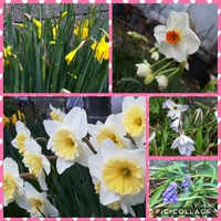 涙雨 2018/03/08 09:46:23