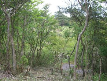 三島市芦ノ湖高原のSi邸工事始まる
