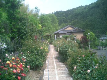 反射炉上の一句石薔薇苑にて