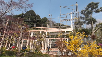 修善寺T邸は上棟した