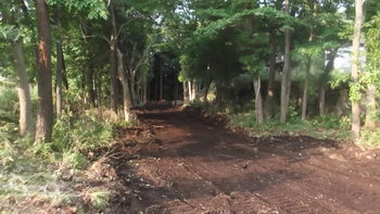 伊豆高原の洗濯船の道路作り