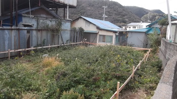 下田の白浜ハウスがいよいよ始まる