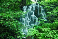 伊豆半島ジオパーク！！深緑の雄飛滝