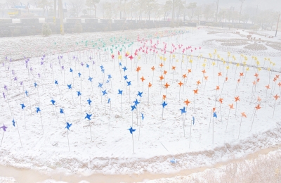 【1月1日（土）～1月4日（火）】雪と色彩
