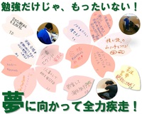 新年度入塾生募集のお知らせ 2017/01/23 18:00:00